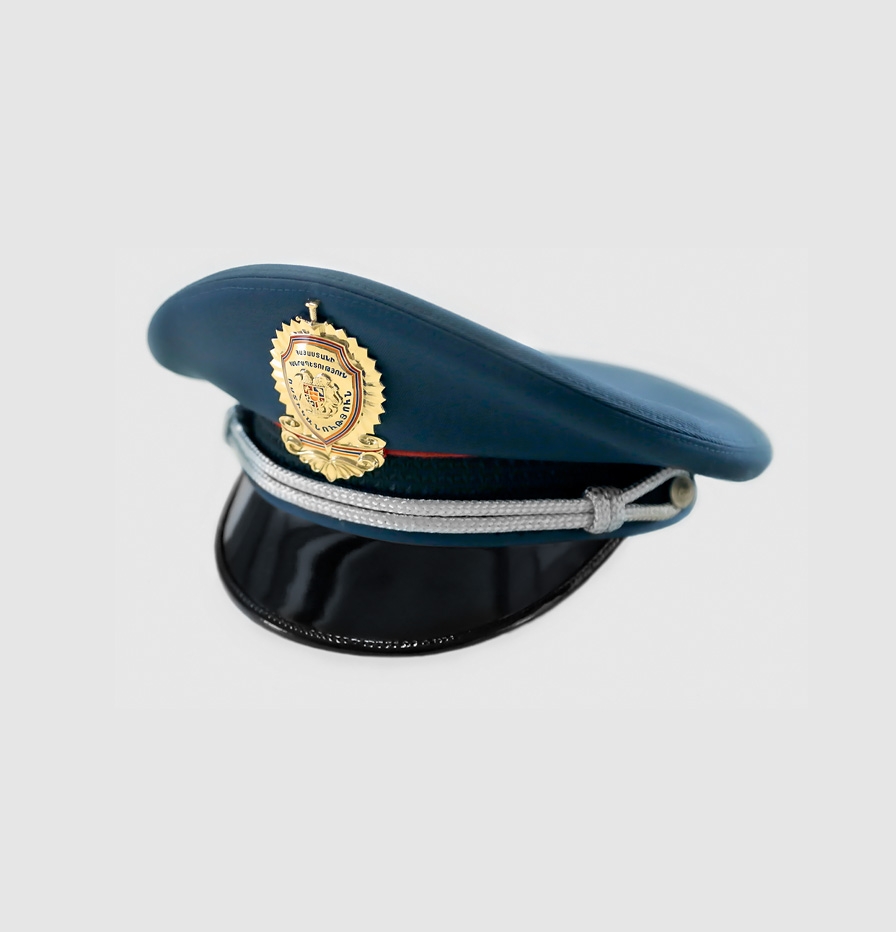 THE POLICE OF THE REPUBLIC OF ARMENIA